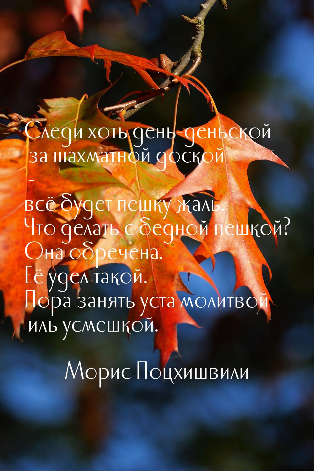 Следи хоть день-деньской за шахматной доской - всё будет пешку жаль. Что делать с бедной п