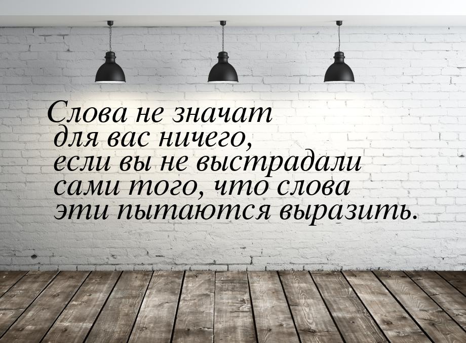 Слова не значат для вас ничего, если вы не выстрадали сами того, что слова эти пытаются вы