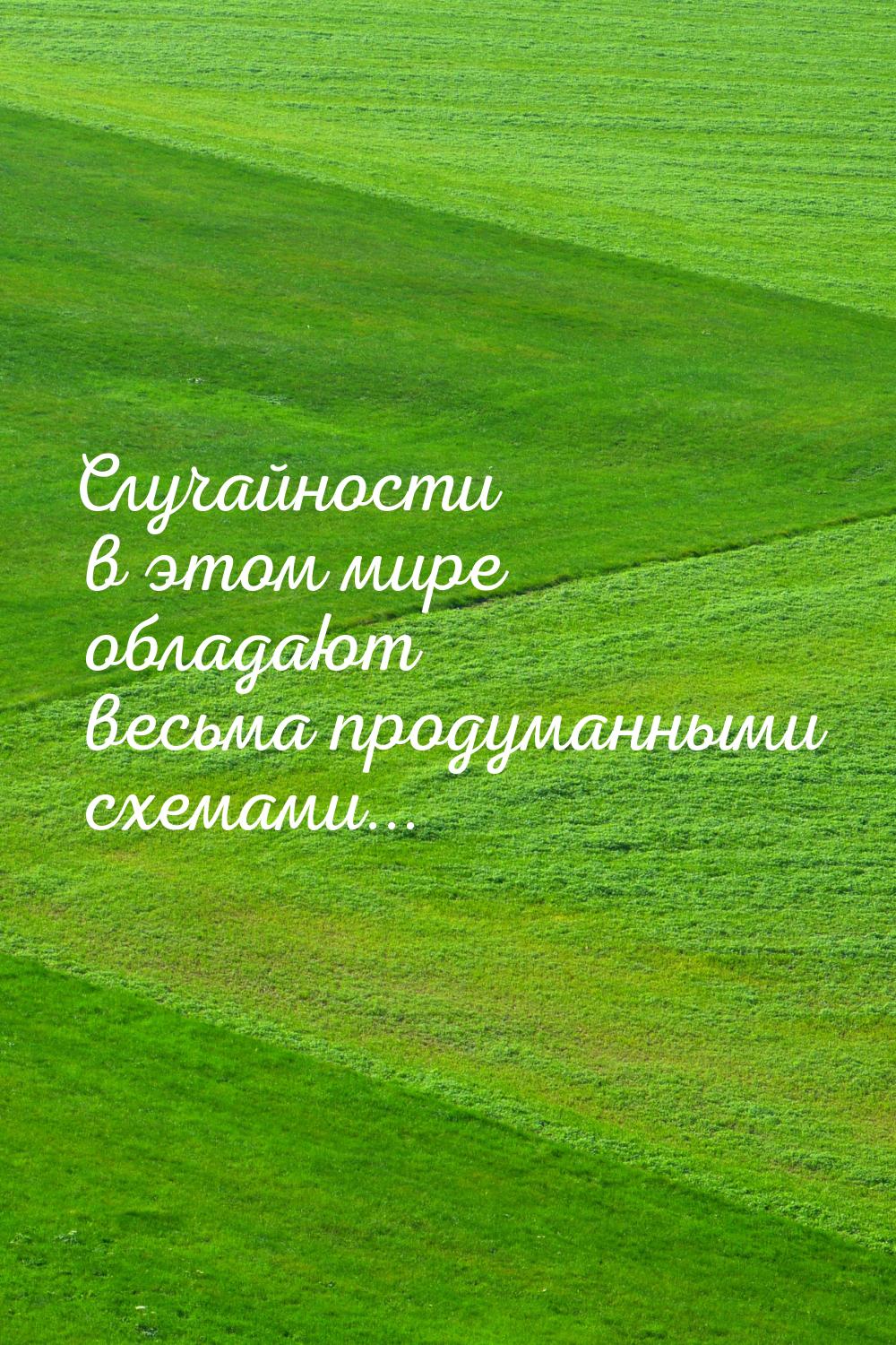 Случайности в этом мире обладают весьма продуманными схемами...