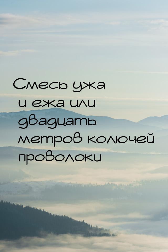 Смесь ужа и ежа или двадцать метров колючей проволоки