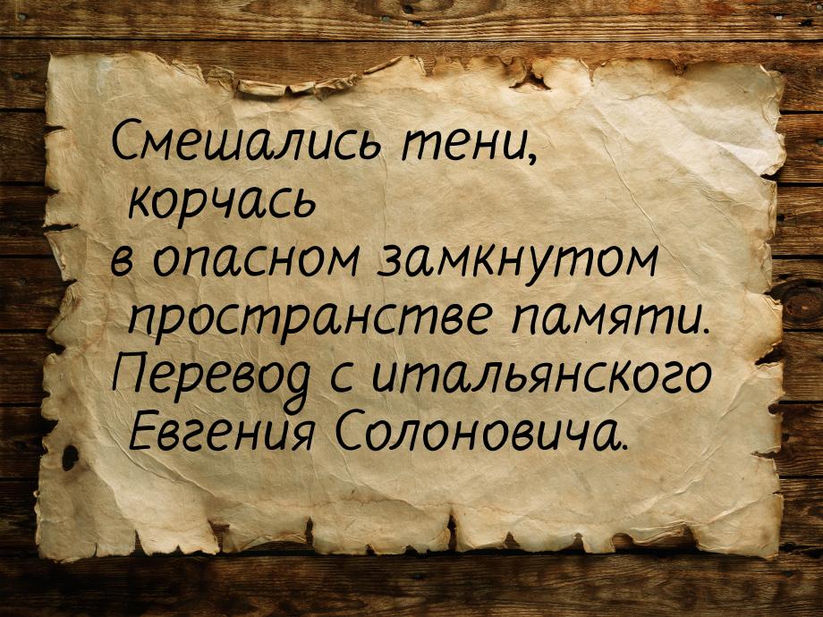 Смешались тени, корчась в опасном замкнутом пространстве памяти. Перевод с итальянского Ев