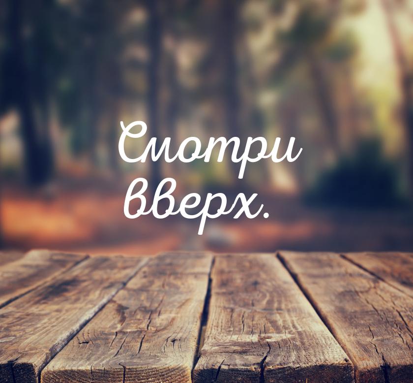 Смотри вверх.