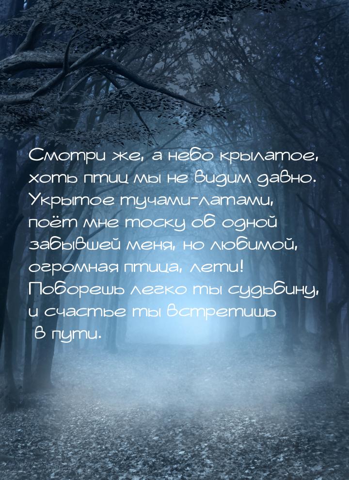 Смотри же, а небо крылатое, хоть птиц мы не видим давно. Укрытое тучами-латами, поёт мне т