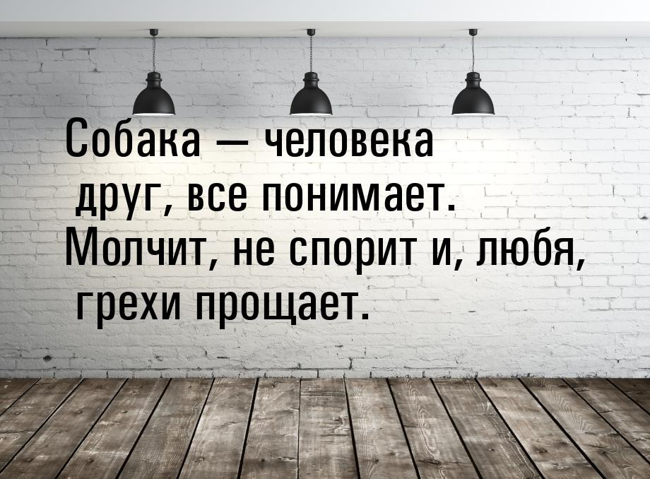 Собака  человека друг, все понимает. Молчит, не спорит и, любя, грехи прощает.