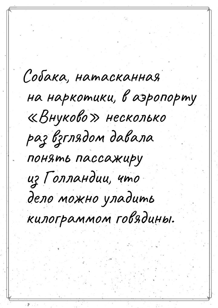 Собака, натасканная на наркотики, в аэропорту Внуково несколько раз взглядом