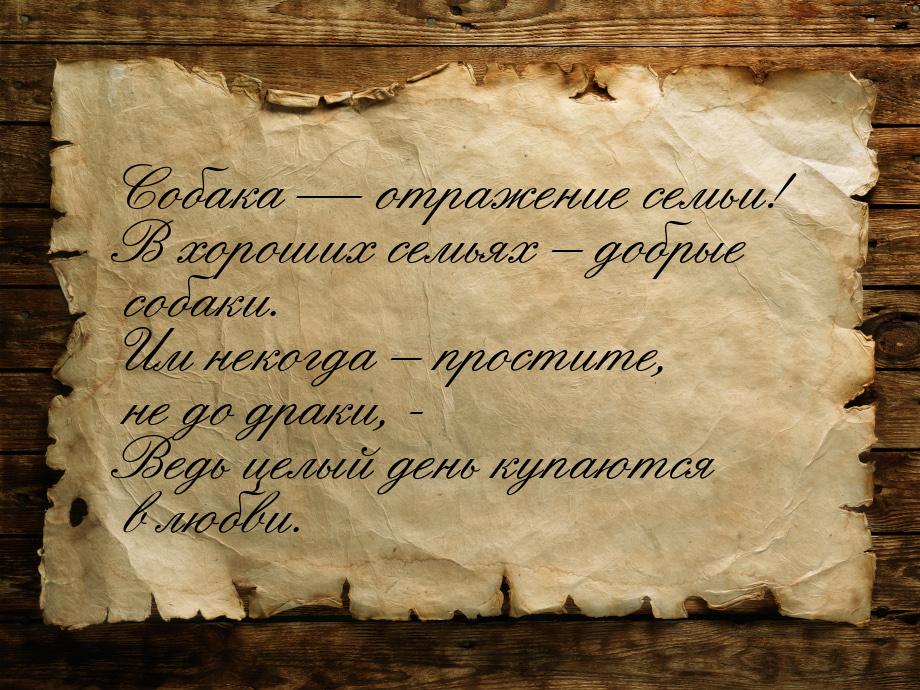 Собака  отражение семьи! В хороших семьях – добрые собаки. Им некогда – простите, н