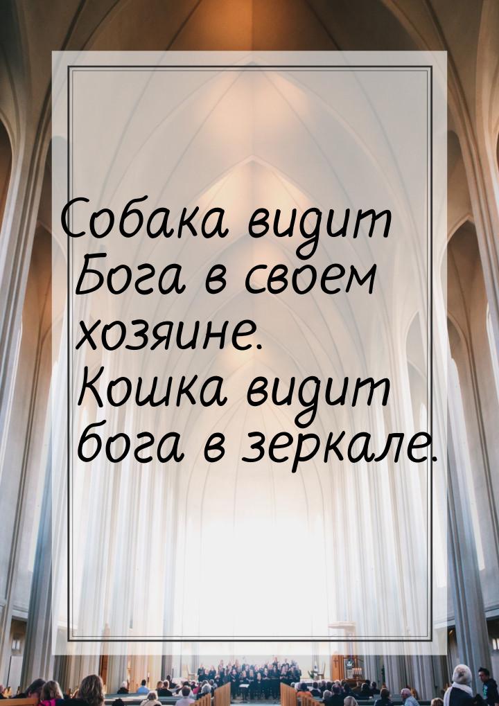 Собака видит Бога в своем хозяине. Кошка видит бога в зеркале.