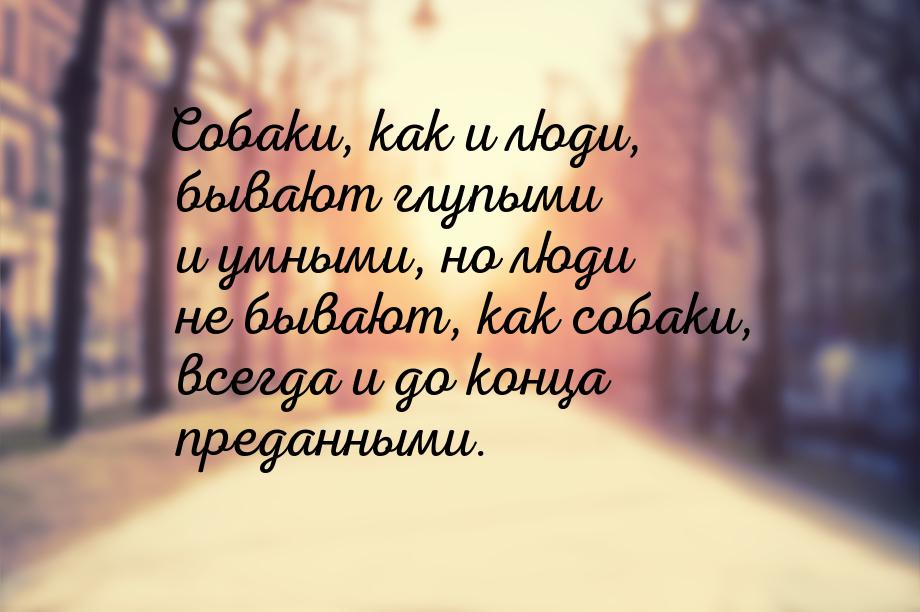 Собаки, как и люди, бывают глупыми и умными, но люди не бывают, как собаки, всегда и до ко