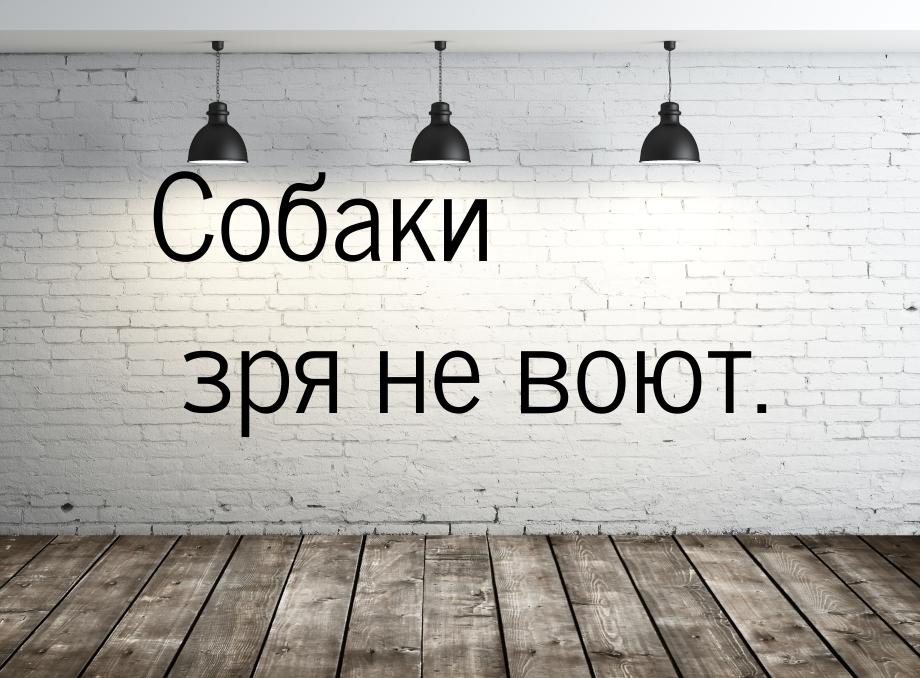 Собаки зря не воют.