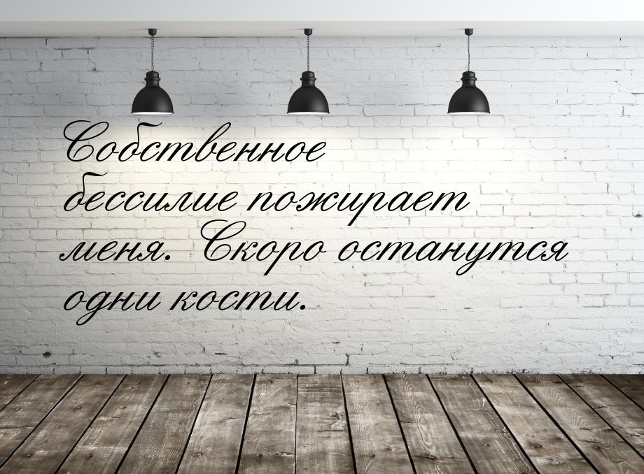 Собственное бессилие пожирает меня. Скоро останутся одни кости.