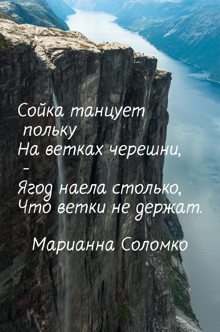 Сойка танцует польку На ветках черешни, - Ягод наела столько, Что ветки не держат.