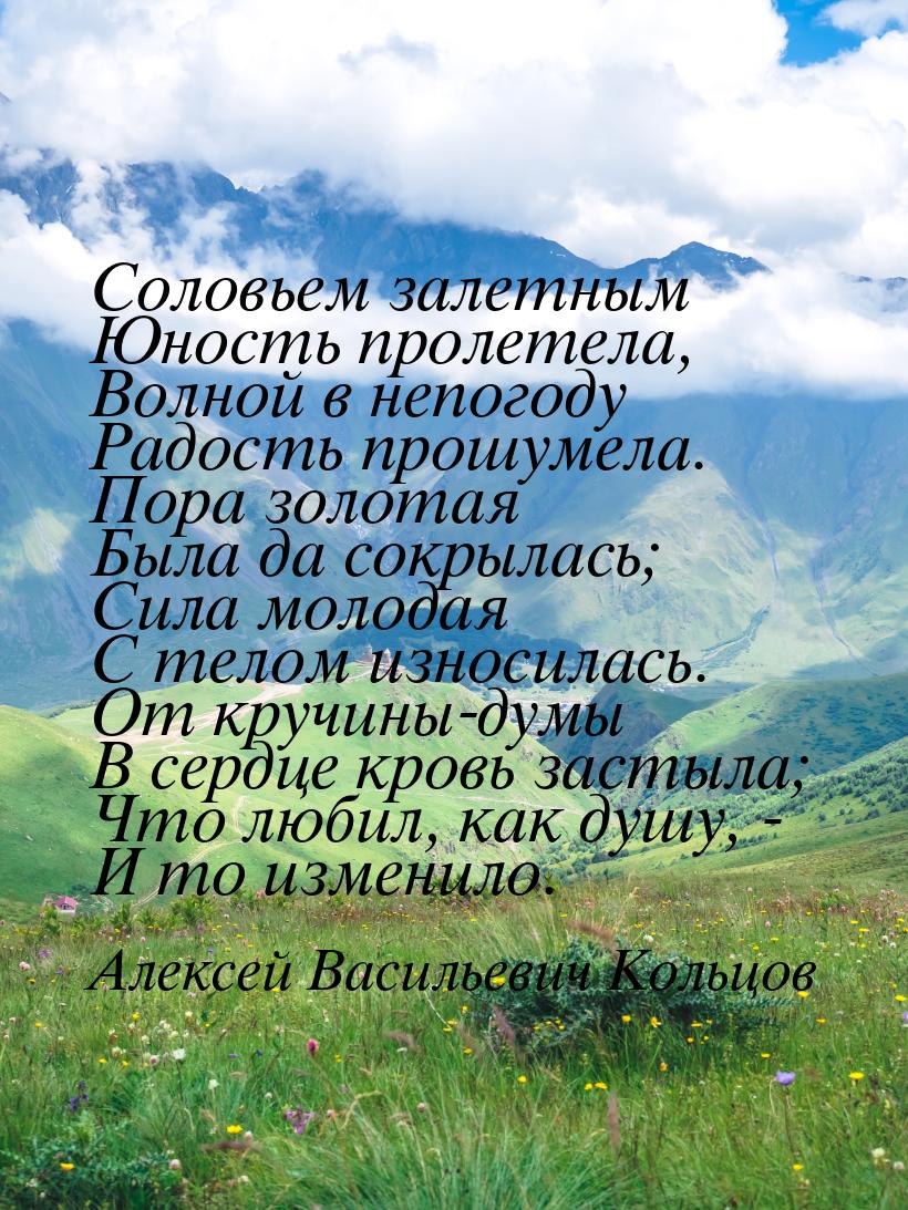 Соловьем залетным Юность пролетела, Волной в непогоду Радость прошумела. Пора золотая Была