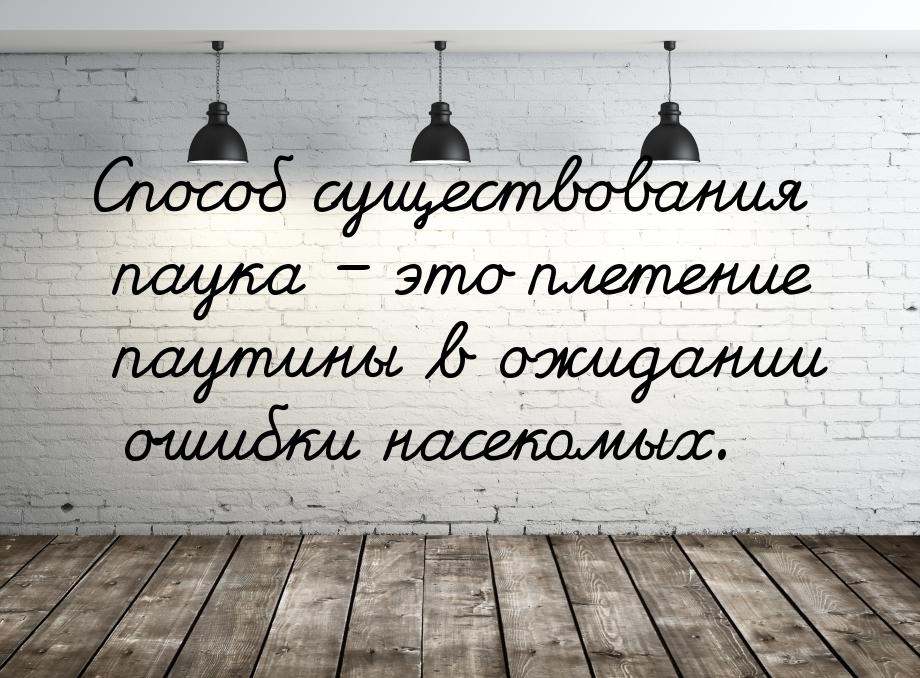 Способ существования паука – это плетение паутины в ожидании ошибки насекомых.