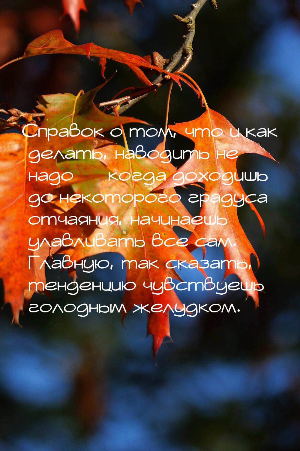 Справок о том, что и как делать, наводить не надо  когда доходишь до некоторого гра