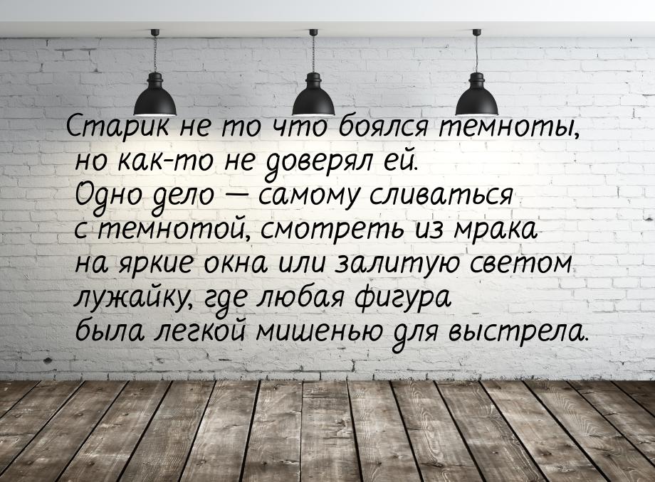 Старик не то что боялся темноты, но как-то не доверял ей. Одно дело — самому сливаться с т