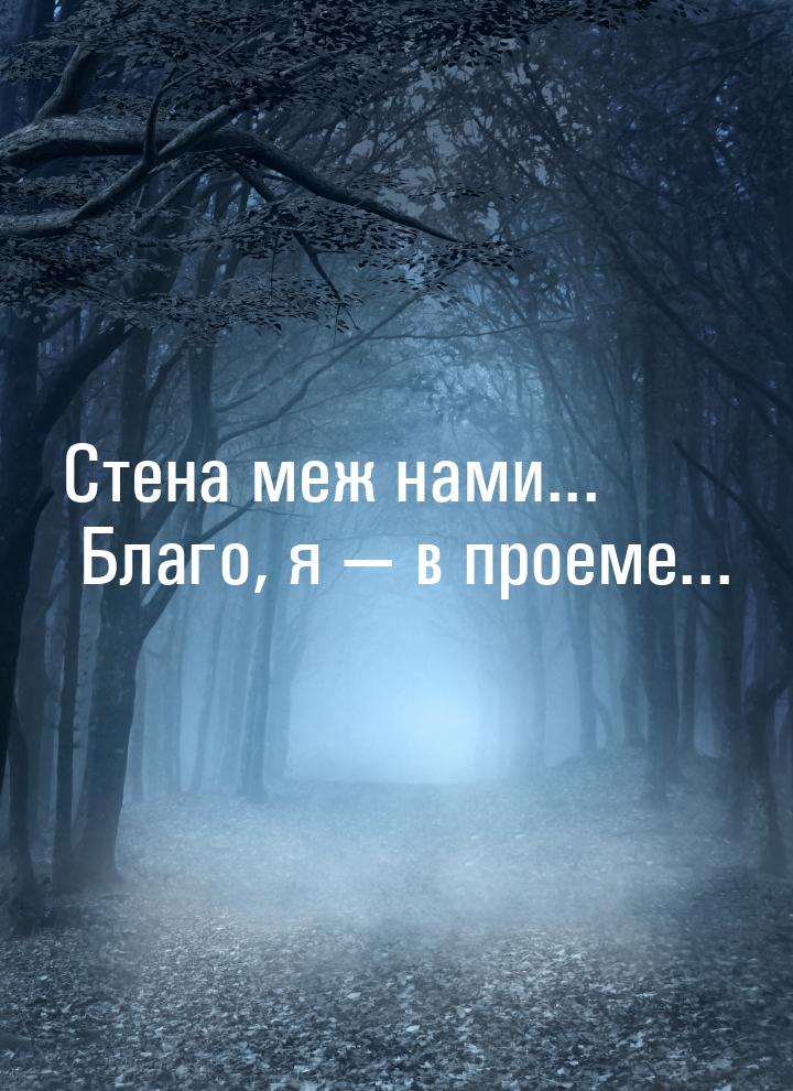 Стена меж нами... Благо, я  в проеме...