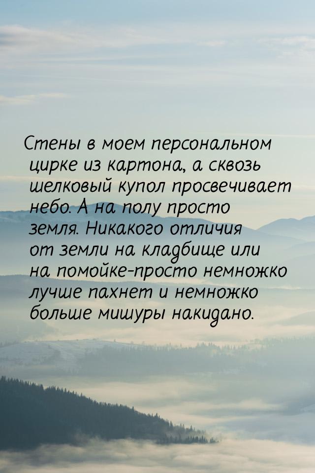 Стены в моем персональном цирке из картона, а сквозь шелковый купол просвечивает небо. А н