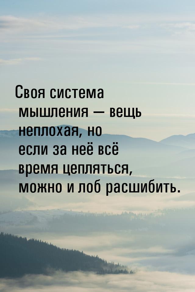 Своя система мышления  вещь неплохая, но если за неё всё время цепляться, можно и л