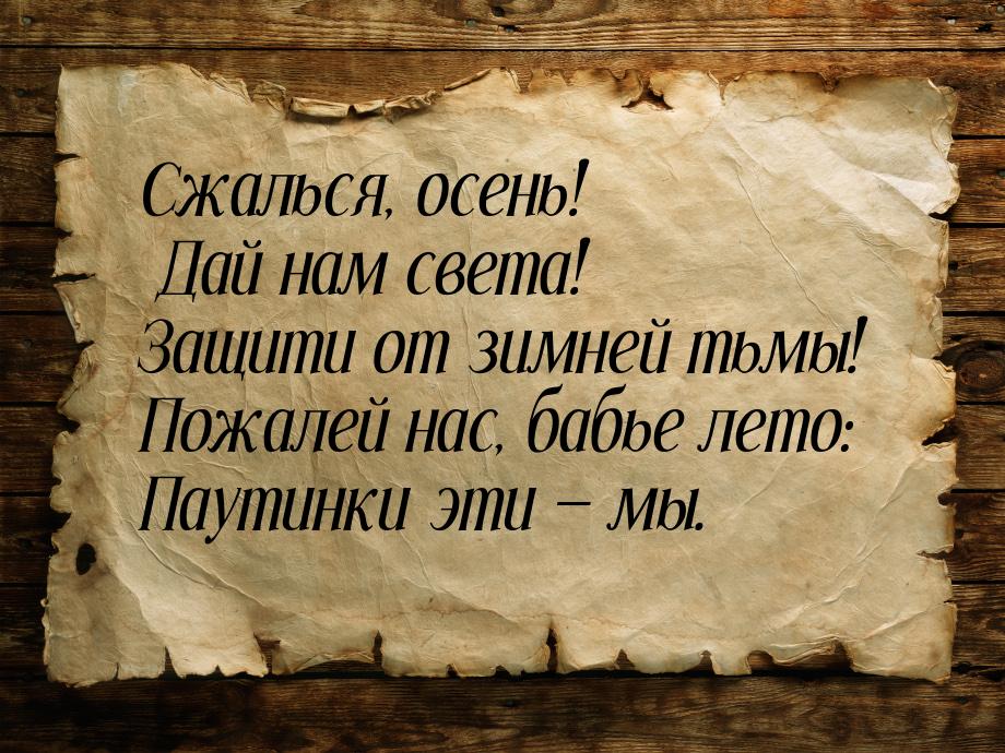 Сжалься, осень! Дай нам света! Защити от зимней тьмы! Пожалей нас, бабье лето: Паутинки эт