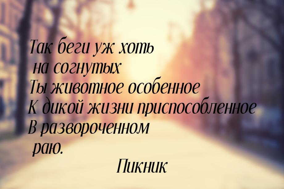 Так беги уж хоть на согнутых Ты животное особенное К дикой жизни приспособленное В разворо