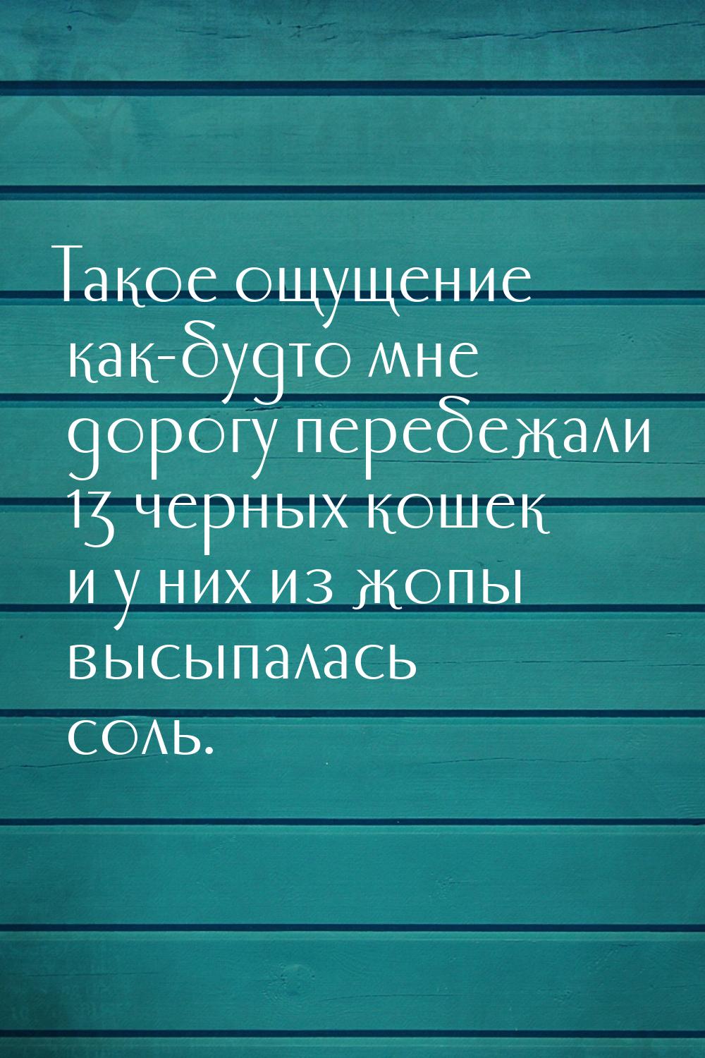 Такое ощущение как-будто мне дорогу перебежали 13 черных кошек и у них из жопы высыпалась 