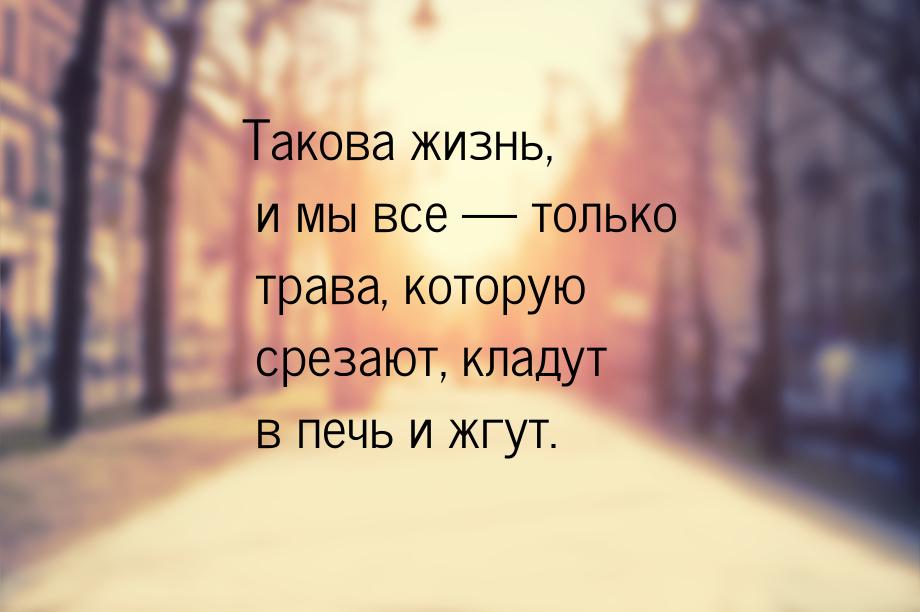 Такова жизнь, и мы все  только трава, которую срезают, кладут в печь и жгут.