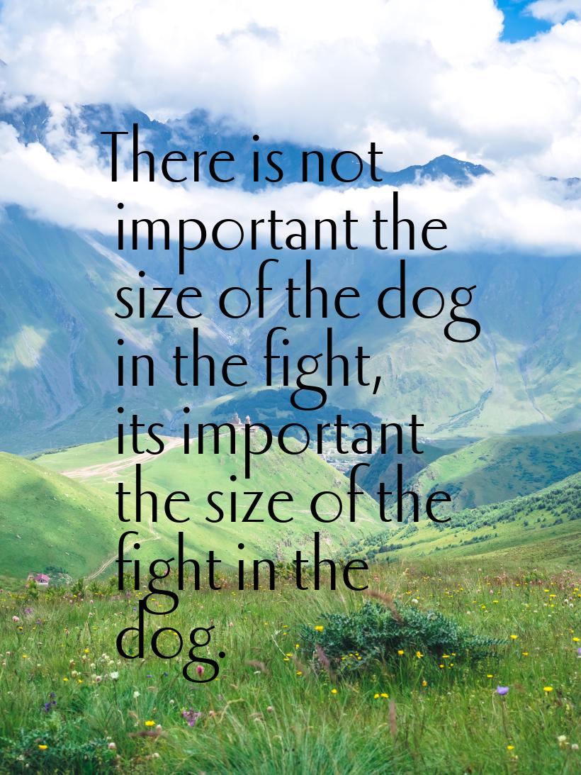 There is not important the size of the dog in the fight, its important the size of the fig