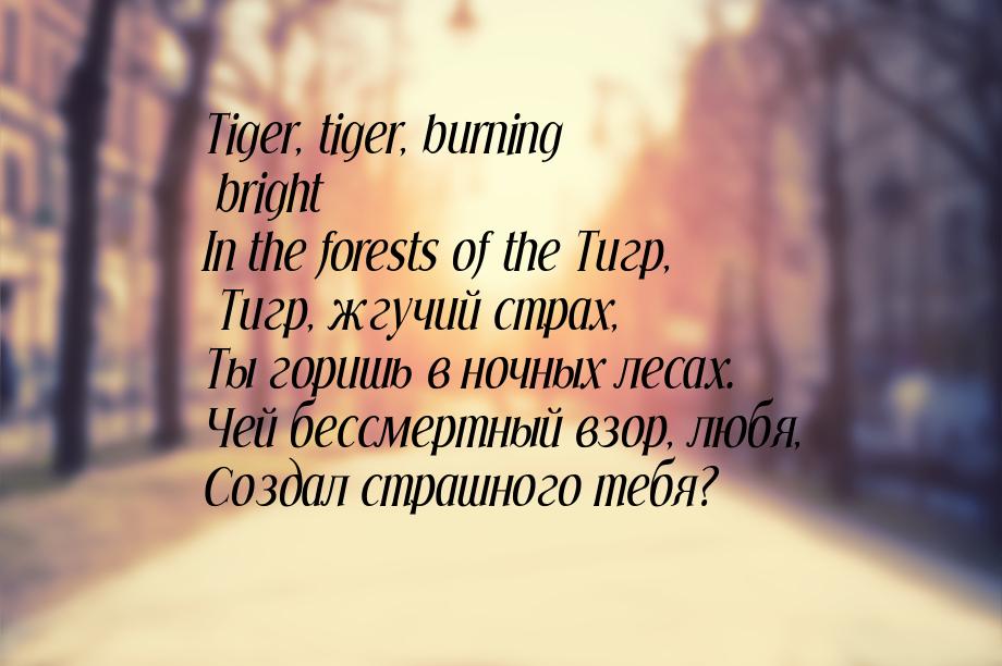 Tiger, tiger, burning bright In the forests of the Тигр, Тигр, жгучий страх, Ты горишь в н