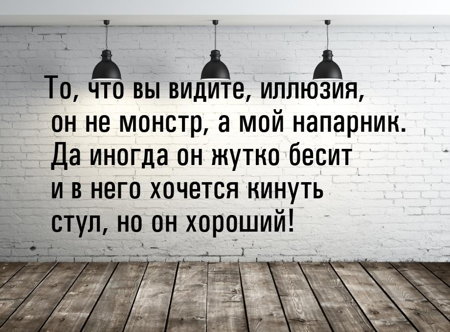 То, что вы видите, иллюзия, он не монстр, а мой напарник. Да иногда он жутко бесит и в нег