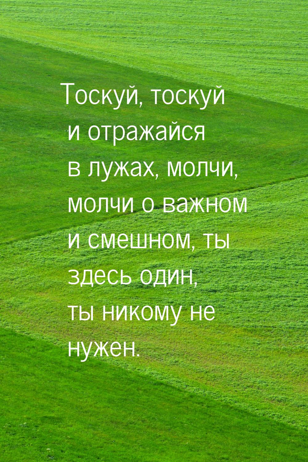 Тоскуй, тоскуй и отражайся в лужах, молчи, молчи о важном и смешном, ты здесь один, ты ник