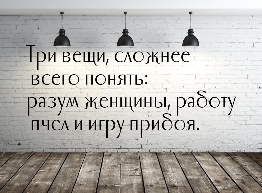 Три вещи, сложнее всего понять: разум женщины, работу пчел и игру прибоя.