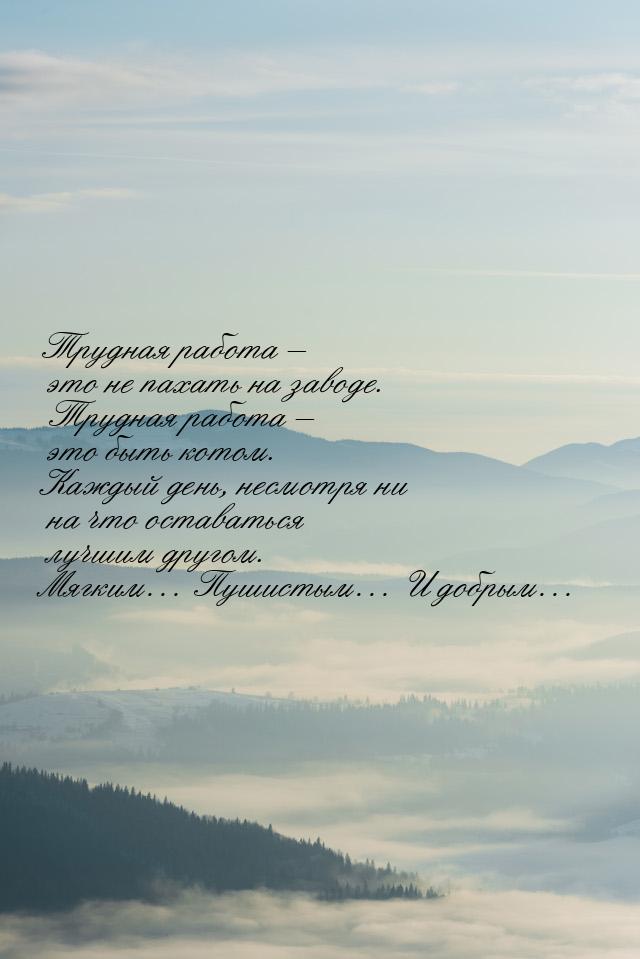 Трудная работа – это не пахать на заводе. Трудная работа – это быть котом. Каждый день, не