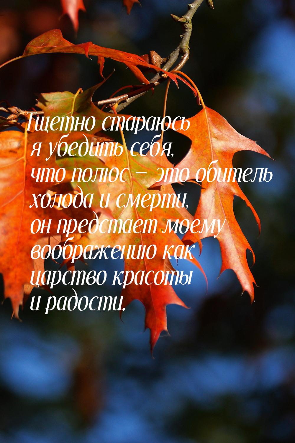 Тщетно стараюсь я убедить себя, что полюс  это обитель холода и смерти, он предстае