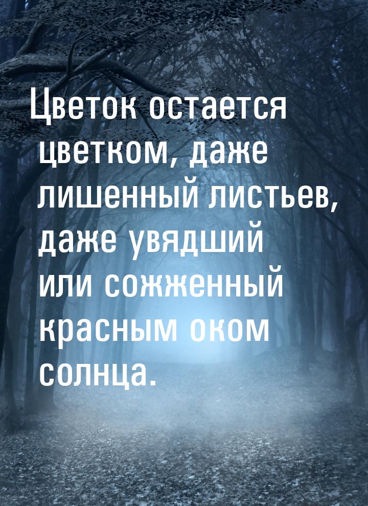 Цветок остается цветком, даже лишенный листьев, даже увядший или сожженный красным оком со