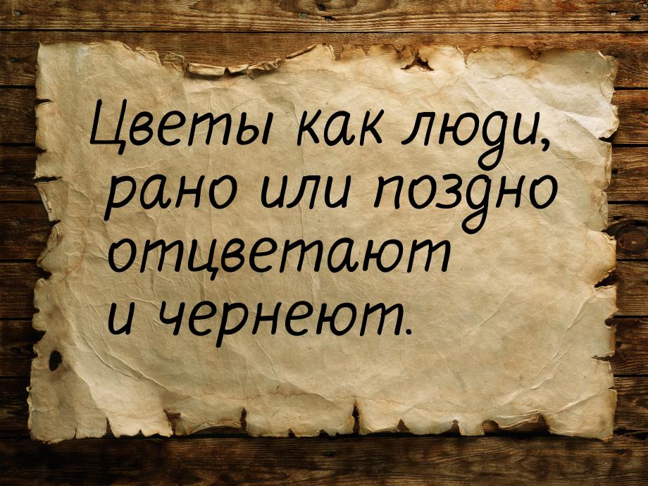 Цветы как люди, рано или поздно отцветают и чернеют.