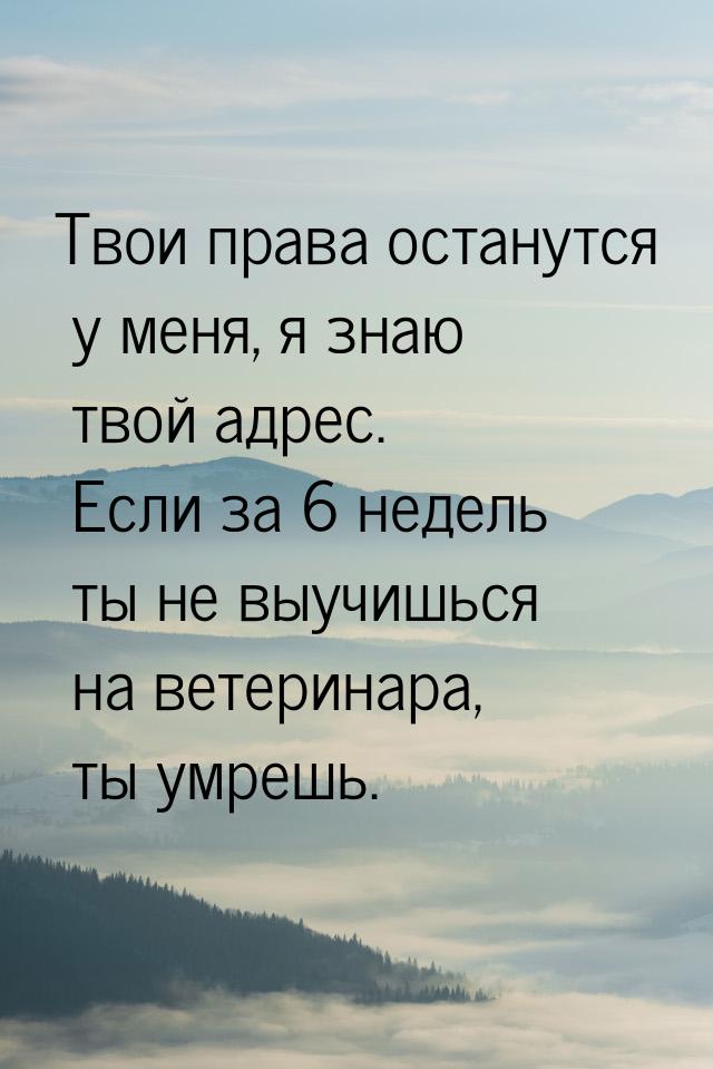 Твои права останутся у меня, я знаю твой адрес. Если за 6 недель ты не выучишься на ветери