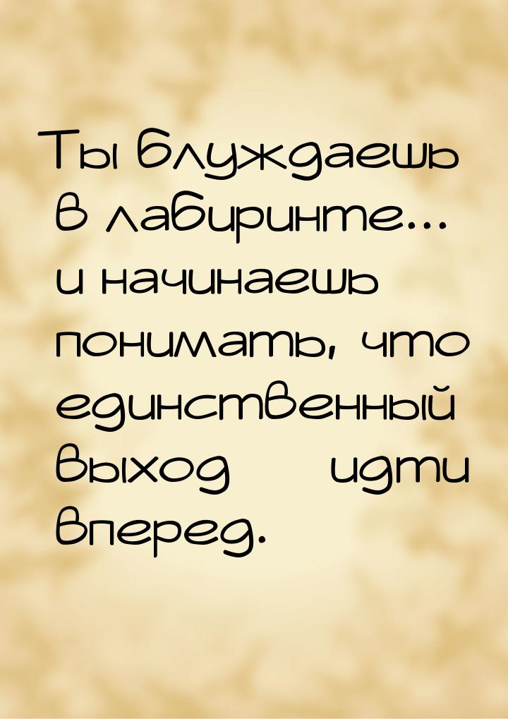 Ты блуждаешь в лабиринте...  и начинаешь понимать, что единственный выход  идти впе