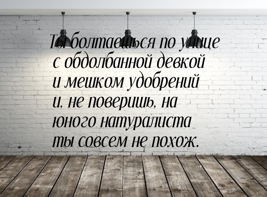 Ты болтаешься по улице с обдолбанной девкой и мешком удобрений и, не поверишь, на юного на