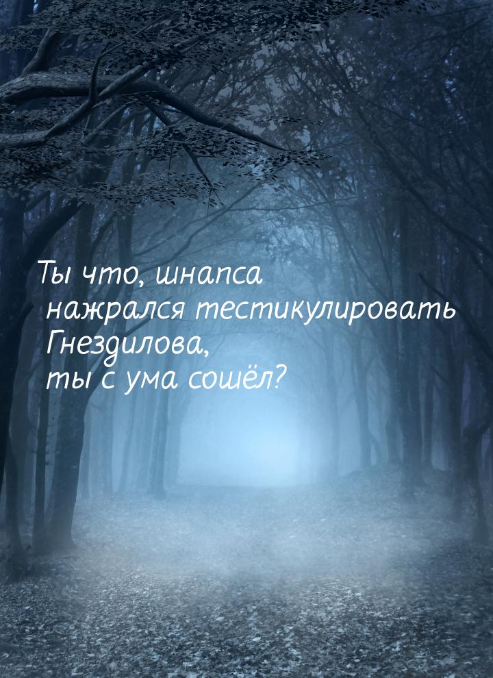 Ты что, шнапса нажрался тестикулировать Гнездилова, ты с ума сошёл?