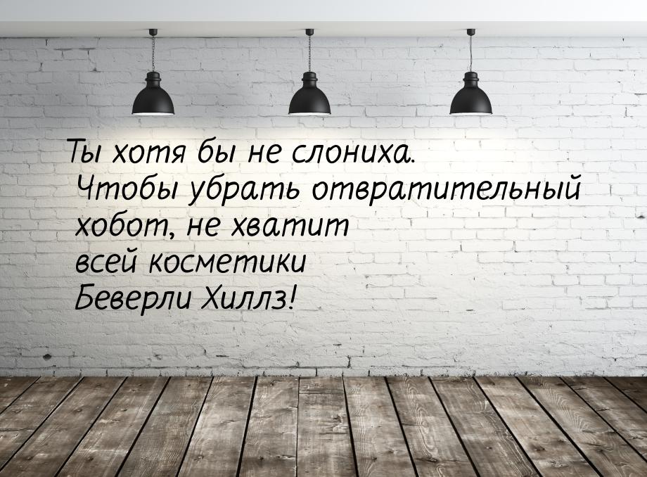 Ты хотя бы не слониха. Чтобы убрать отвратительный хобот, не хватит всей косметики Беверли