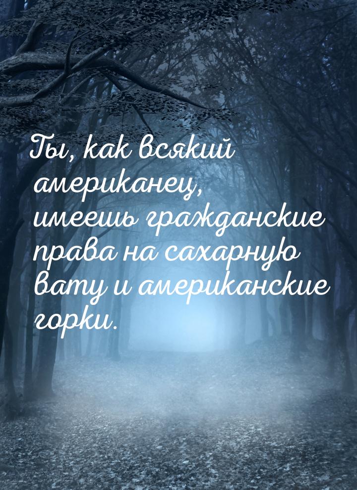 Ты, как всякий американец, имеешь гражданские права на сахарную вату и американские горки.