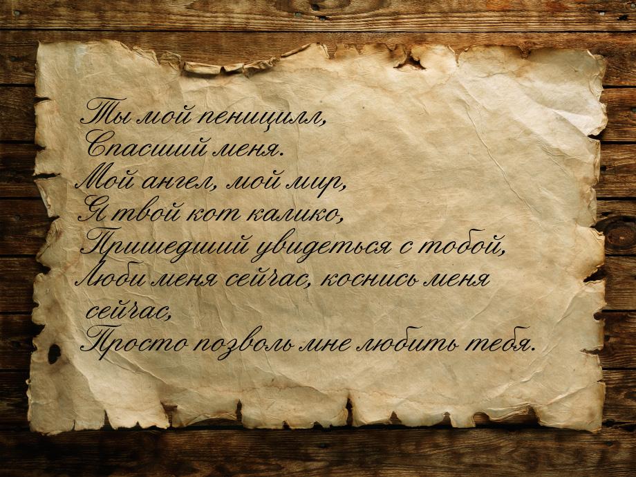 Ты мой пеницилл, Спасший меня. Мой ангел, мой мир, Я твой кот калико, Пришедший увидеться 