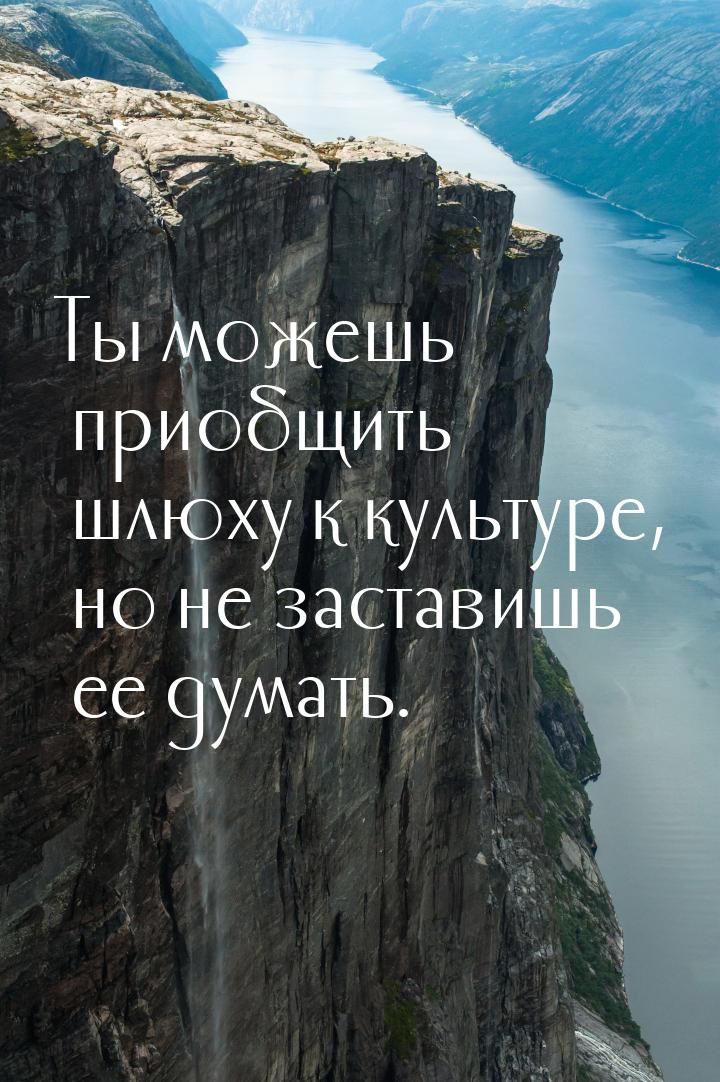 Ты можешь приобщить шлюху к культуре, но не заставишь ее думать.