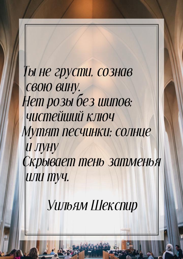 Ты не грусти, сознав свою вину. Нет розы без шипов; чистейший ключ Мутят песчинки; солнце 