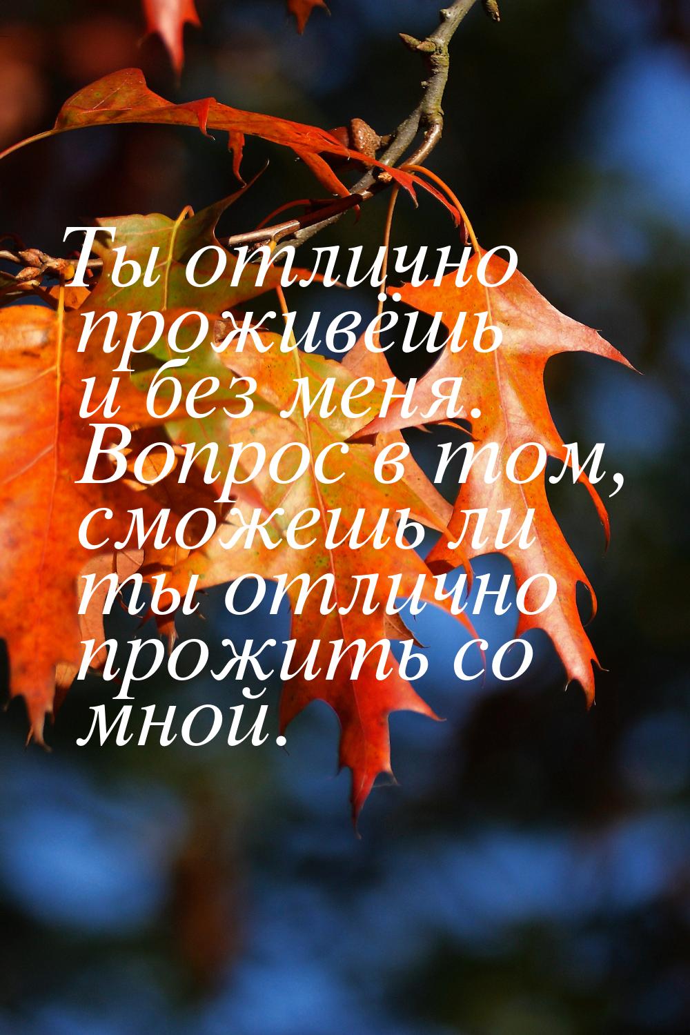 Ты отлично проживёшь и без меня. Вопрос в том, сможешь ли ты отлично прожить со мной.