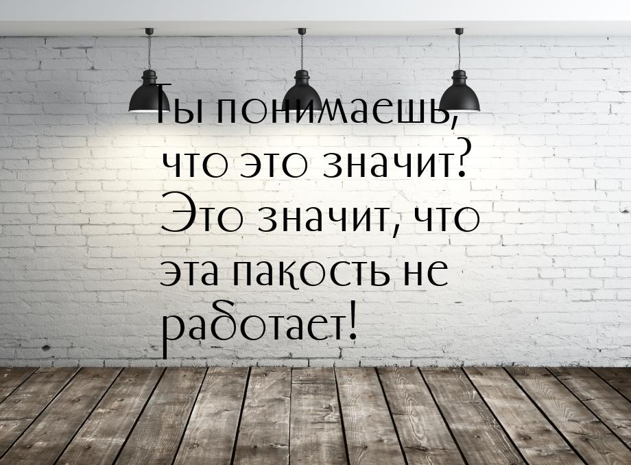 Ты понимаешь, что это значит? Это значит, что эта пакость не работает!