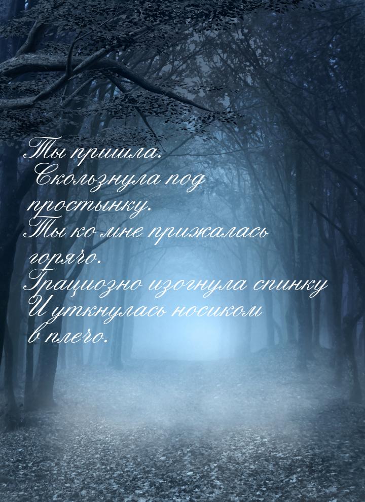 Ты пришла. Скользнула под простынку. Ты ко мне прижалась горячо. Грациозно изогнула спинку