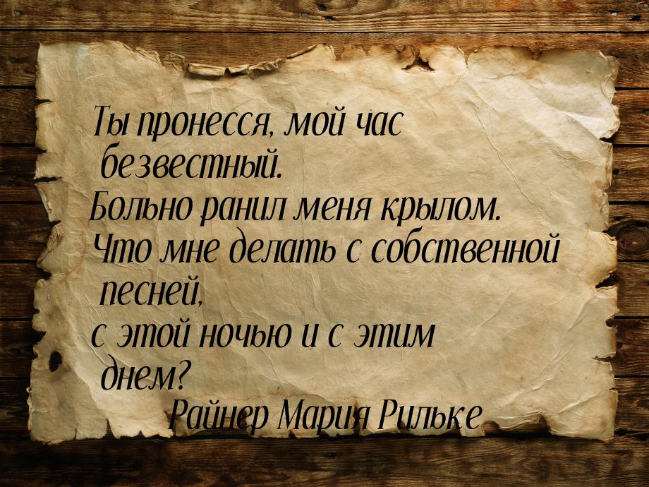 Ты пронесся, мой час безвестный. Больно ранил меня крылом. Что мне делать с собственной пе