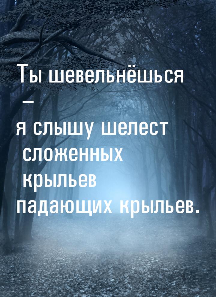 Ты шевельнёшься – я слышу шелест сложенных крыльев падающих крыльев.