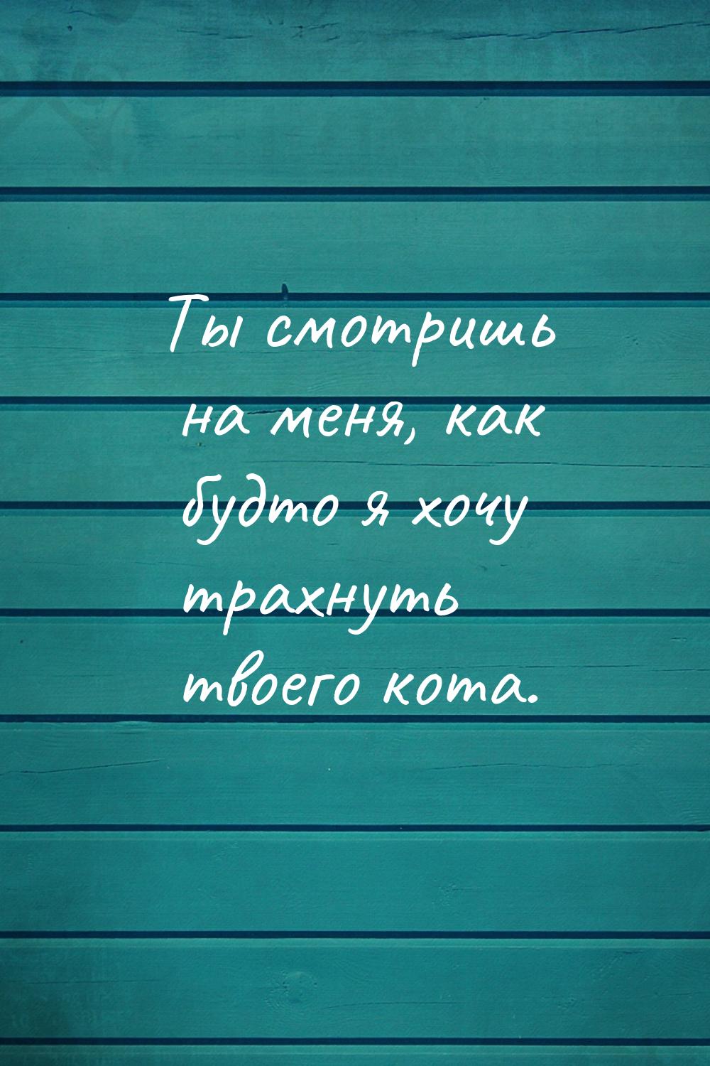 Ты смотришь на меня, как будто я хочу трахнуть твоего кота.